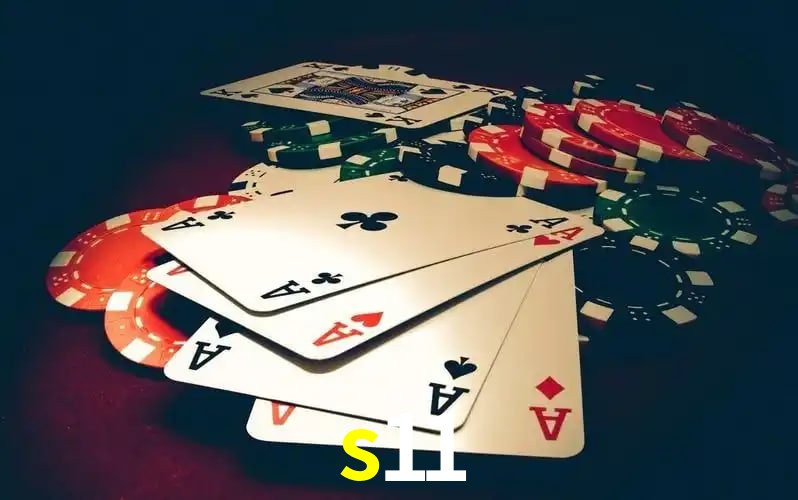 s11 visual 2